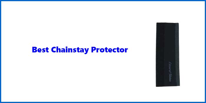 Best Chainstay Protector