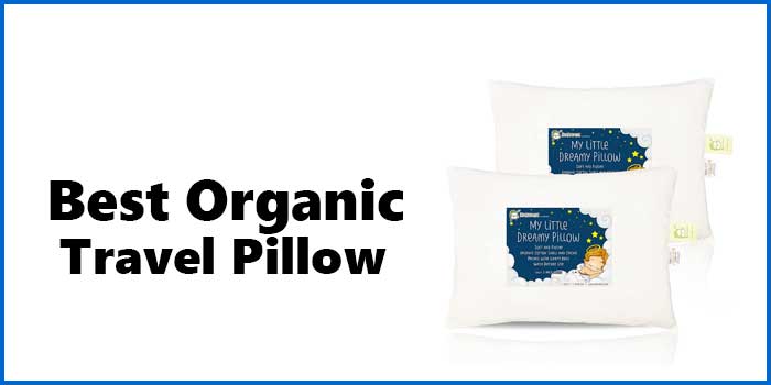 Best Organic Travel Pillow