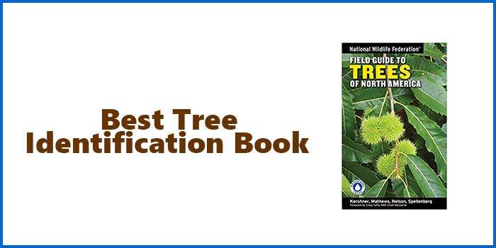 Best Tree Identification Book